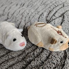 Hamsters