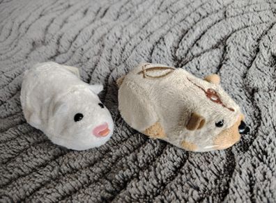 Hamsters