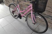 ladies city bike( can deliver)