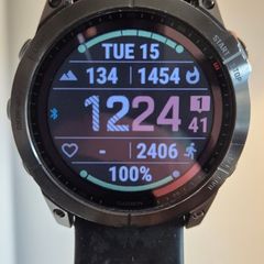 Garmin Fenix 7x Solar
