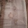 Travel Cot Graco Contour Electra (Benny & Bell) Image 3