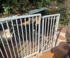 fence