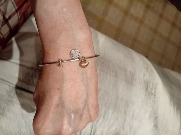 Silver tone adjustable bracelet with charms