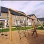 Wood chip Image 8