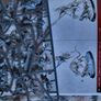 Games Workshop Age of Sigmar Skaven  Clawlord on Gnaw-Beast NEW NOS Image 6