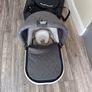 uppababy buggy Image 7