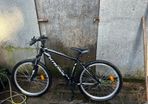 Adult bicycle