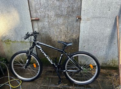 Adult bicycle