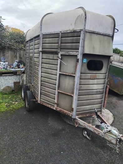 horse box open to offers sound box double treated floor no rot this box has perfect Strong sides will do cattle either make brilliant coffee box