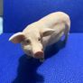 Leonardo Pig Figure Image 6