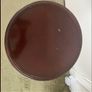Mahogany Wine Table Image 2