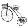 Tricycle Plant Stand Flower Pot Cart Bicycle Holder Rack for Home Garden Patio Image 2
