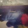 Desigual cross body shoulder floral medium size bag Postage included Image 3