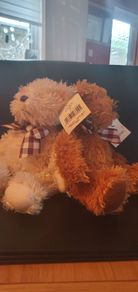 Teddies with Beanie Belly