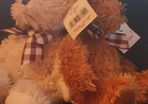 Teddies with Beanie Belly