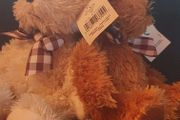 Teddies with Beanie Belly