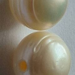 Authentic South Sea Pearl Pair