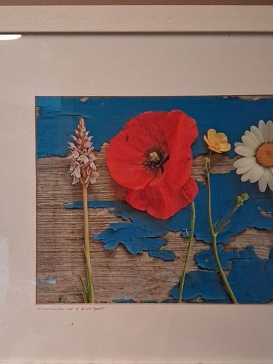 'Wild Flowers on a Blue Boat'