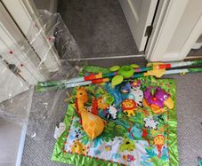 fisher price jungle gym