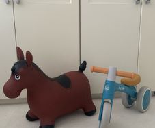 Toddler ride on bundle - horse and bike