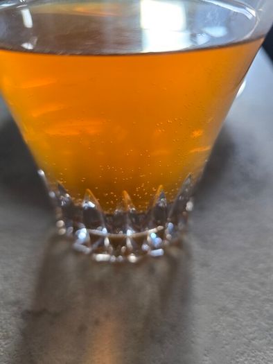 Healthy drink cambucha