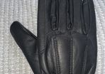 Equine gloves