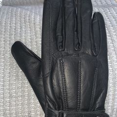 Equine gloves