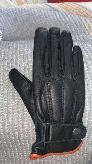Equine gloves