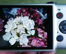 Canon Ixus 132 Digital Compact Camera Working w/Canon 8x Optical Zoom Lens (charger and SD card)