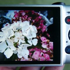 Canon Ixus 132 Digital Compact Camera Working w/Canon 8x Optical Zoom Lens (charger and SD card)