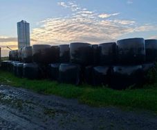 200 bales of silage