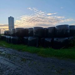 200 bales of silage