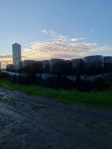 200 bales of silage