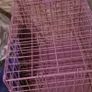 Pink dog crate Image 3