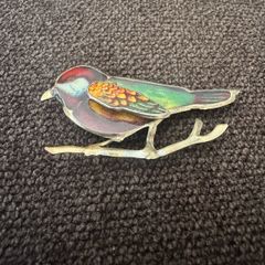 brooch