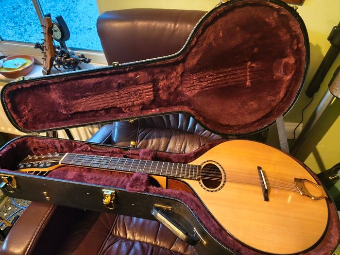 Nyberg Flat-top Mid-Scale Cittern
