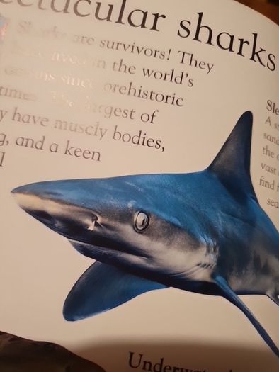 Ocean Eyewonder Enter A World Of Discovery