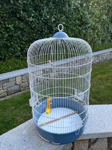 Free bird cage