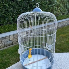 Free bird cage