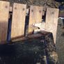 rain water hopper Image 5