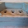 Egg holder Image 2