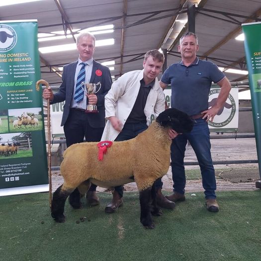 Ballina October Ram Sale