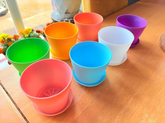 Plant Pot