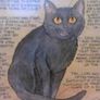 Cat sign Image 3