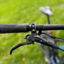 Vitus Sommet Carbon Image 6