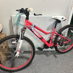 Girls Bike 24"