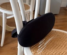 Back support