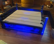 WWE Smackdown LED wrestling figure wrestling ring with accessories