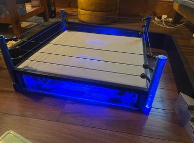 WWE Smackdown LED wrestling figure wrestling ring with accessories