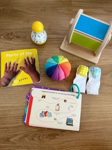 Items from Lovevery "The Senser" play kit 5-6 months